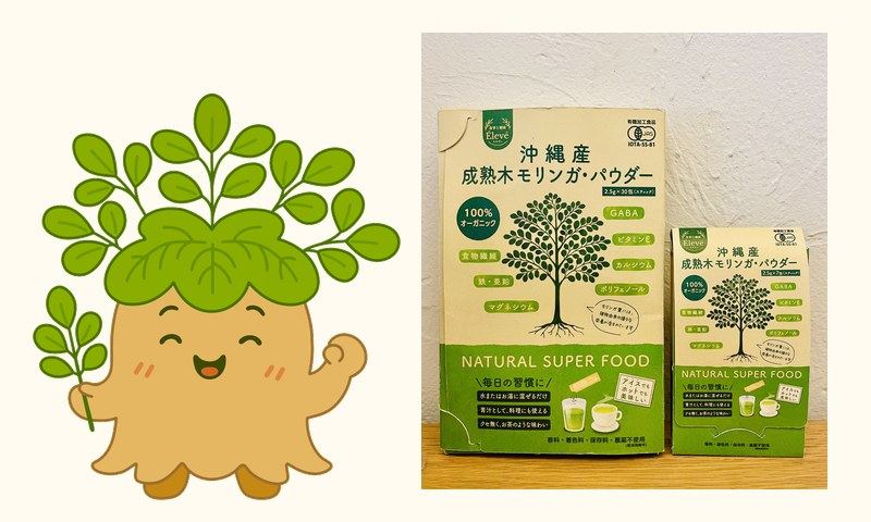 もりんちゃんと沖縄産成熟木モリンガ・パウダー